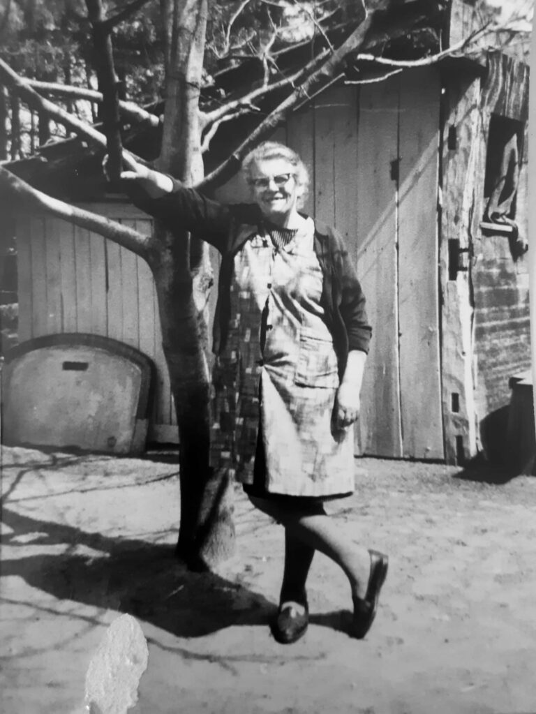 appelsien in wijnsaus | Louisa Blockx (1901-1974)